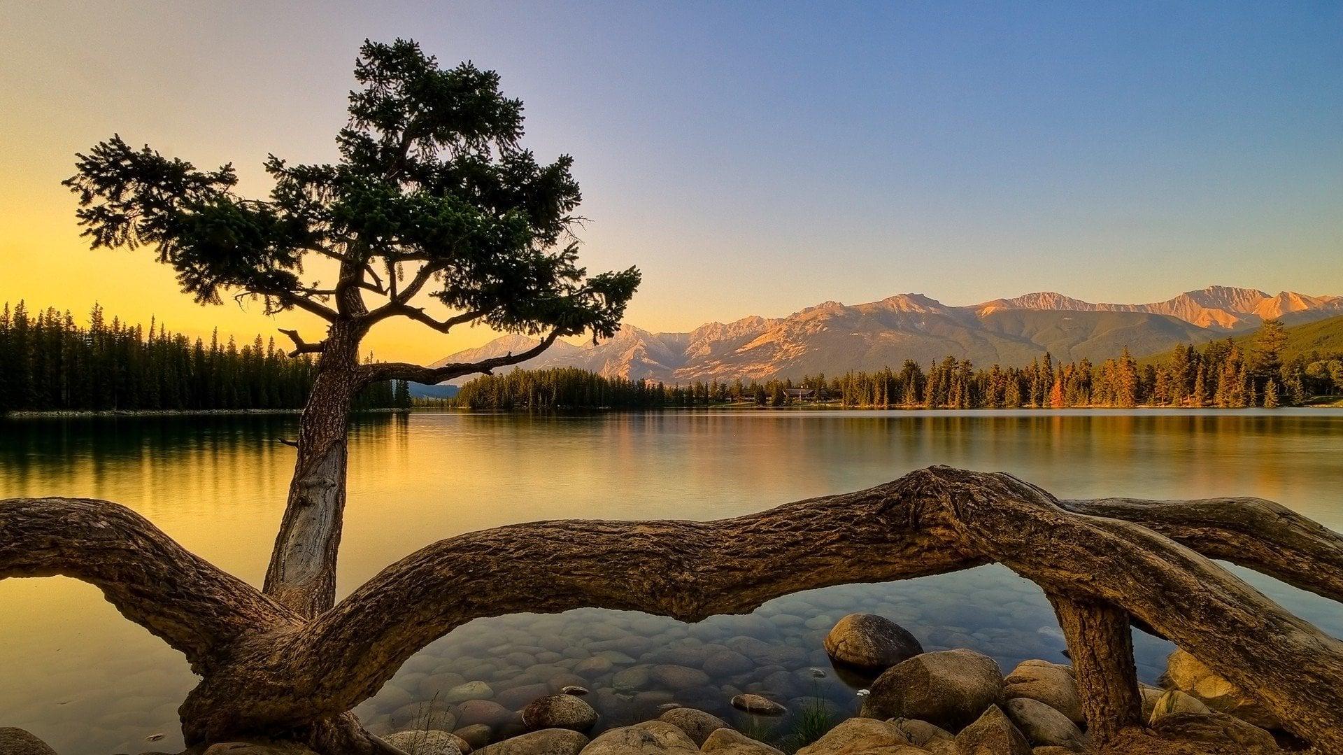 Show Me Your Most Serene Awe Inspiring Mind Soothing Nature