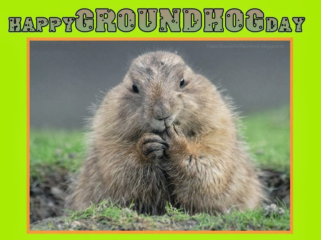Happy Groundhog Day Greetings Card eCard Free Groundhog Day QuotesJPG