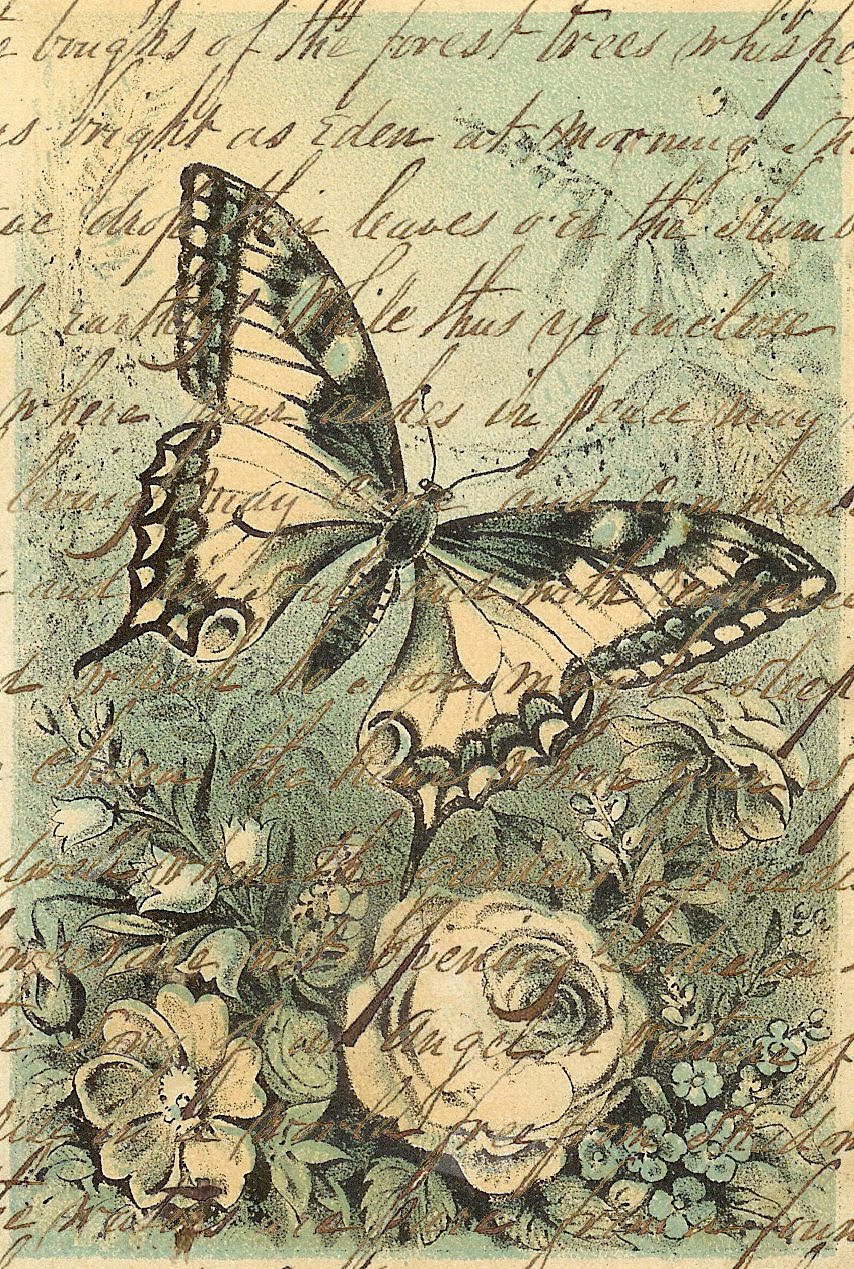 Vintage Butterfly Wallpaper   Widescreen HD Wallpapers