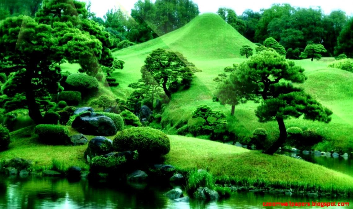 Zen Garden Desktop Background Zoom Wallpaper