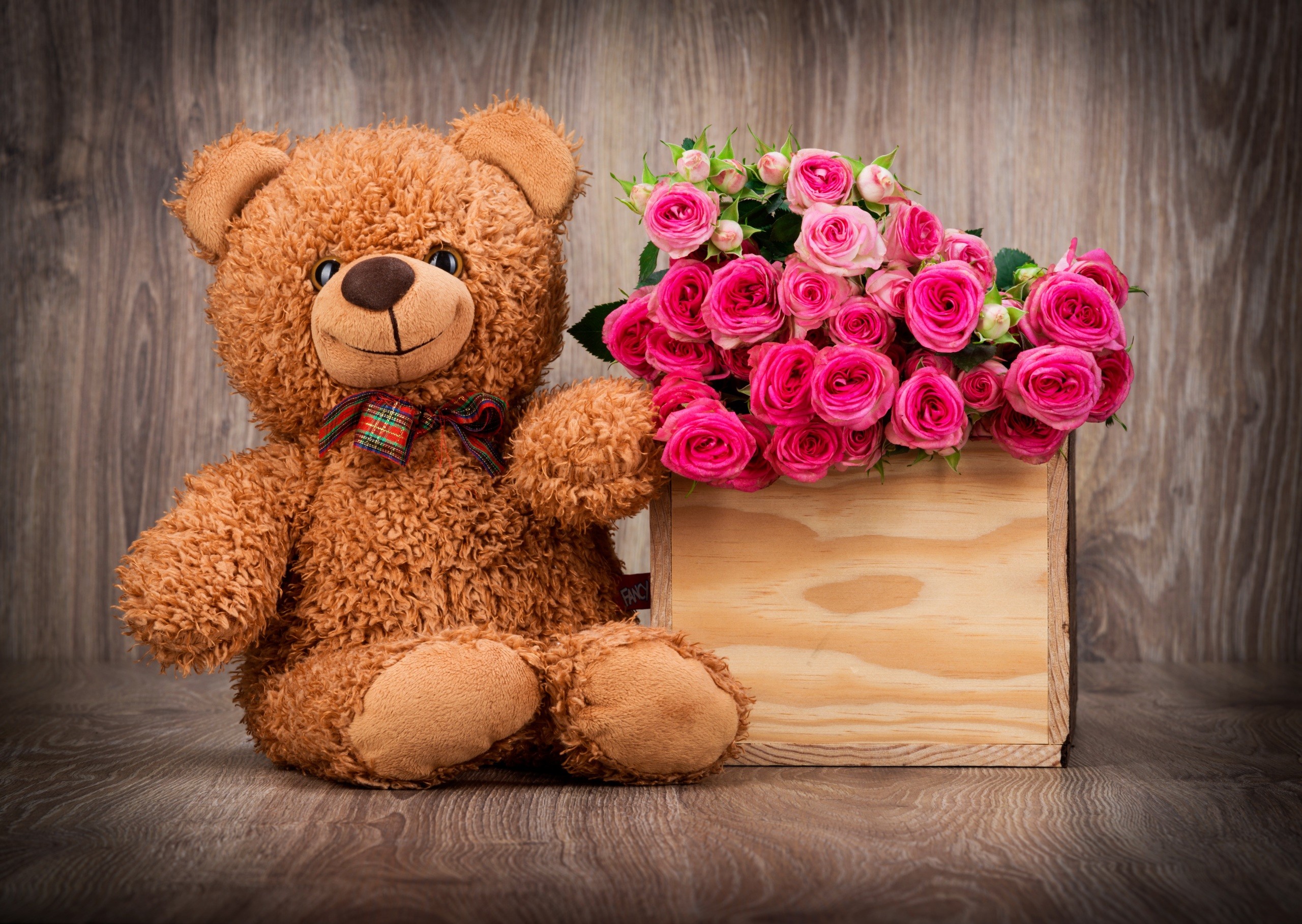 Cute Teddy Bear Wallpaper