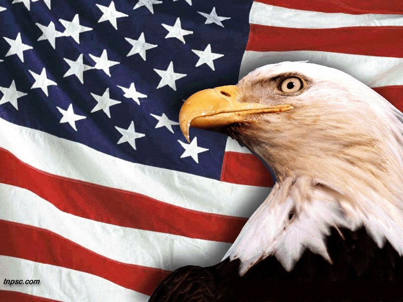 American Flag Wallpaper 4th Of July Usa Eagle
