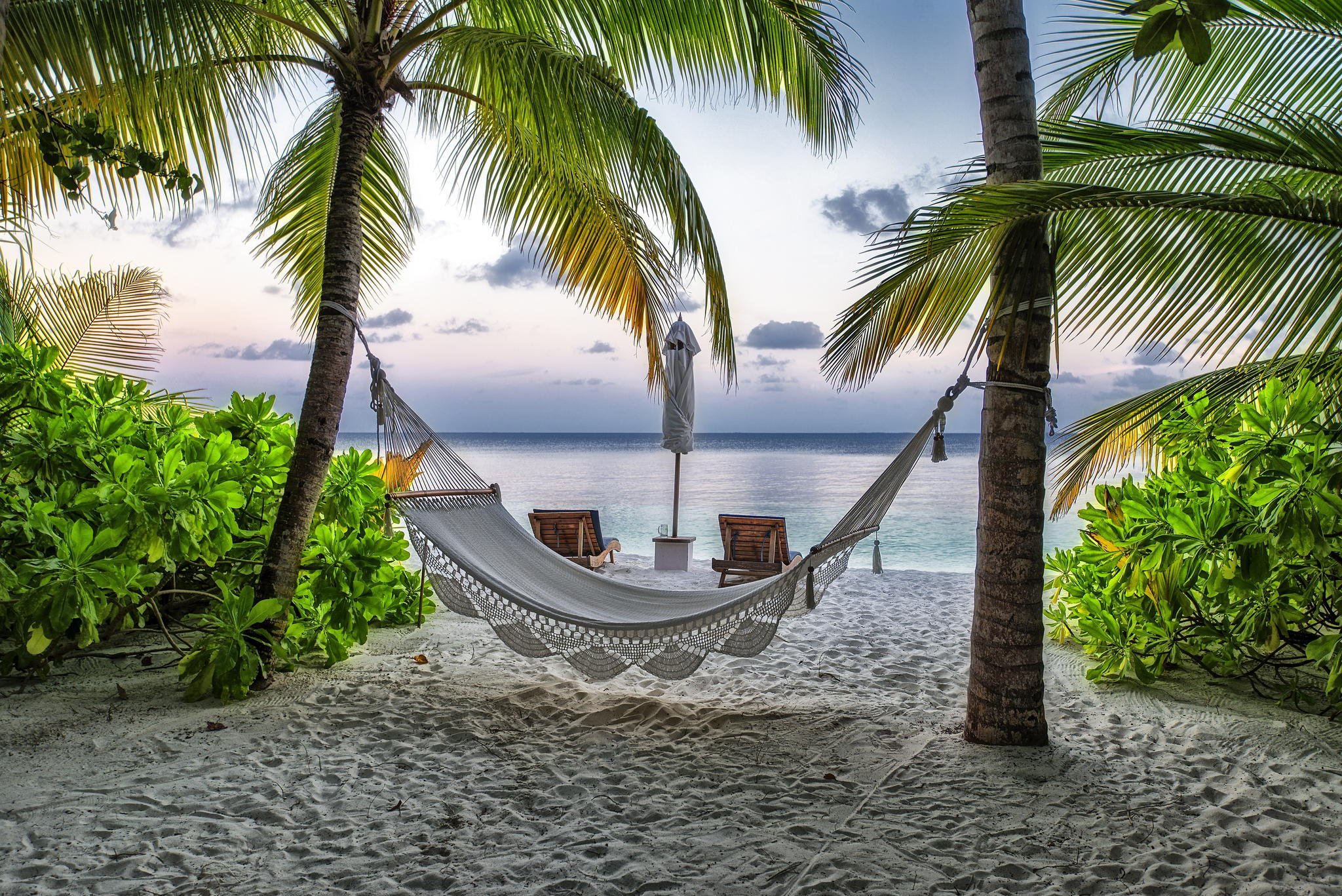 Maldives beach hammock palm resort vacation summer wallpaper