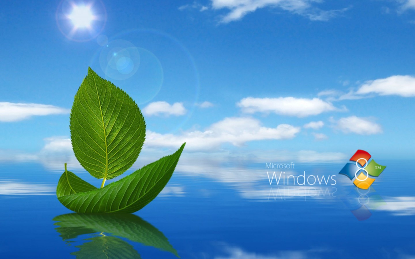 Free download Windows 8 Full Wallpaper HD Windows 8 Wallpaper HD