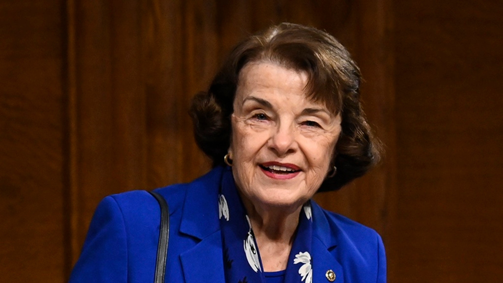 Dianne Feinstein Wallpaper