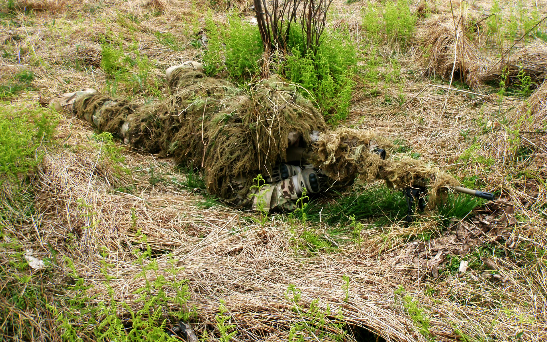 Sniper in Ghillie Suit 2241   Military Wallpapers