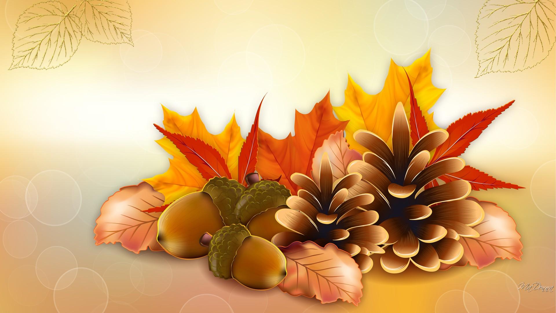 Thanksgiving Fall Vector HD Wallpaper
