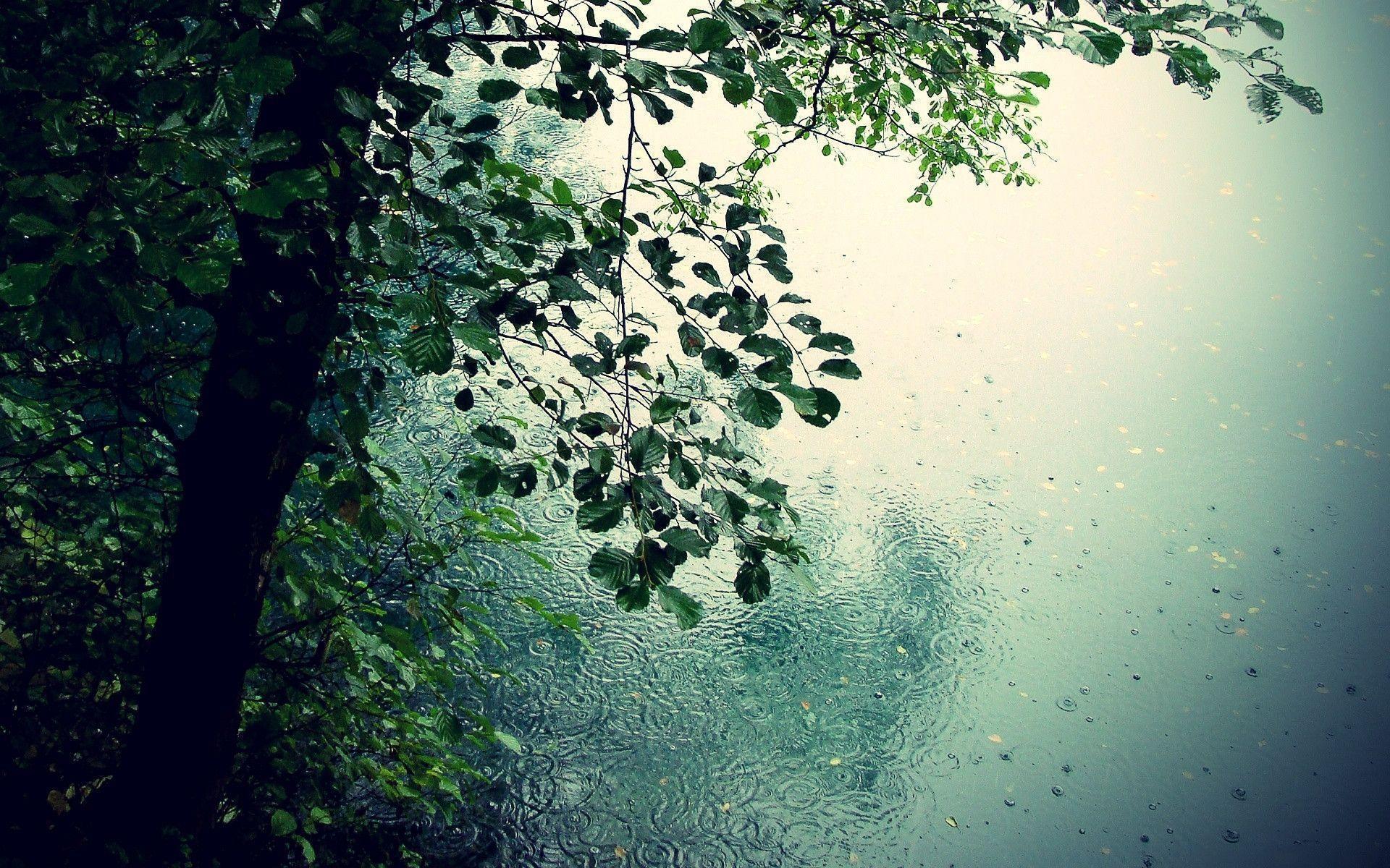Rain Wallpaper Airwallpaper