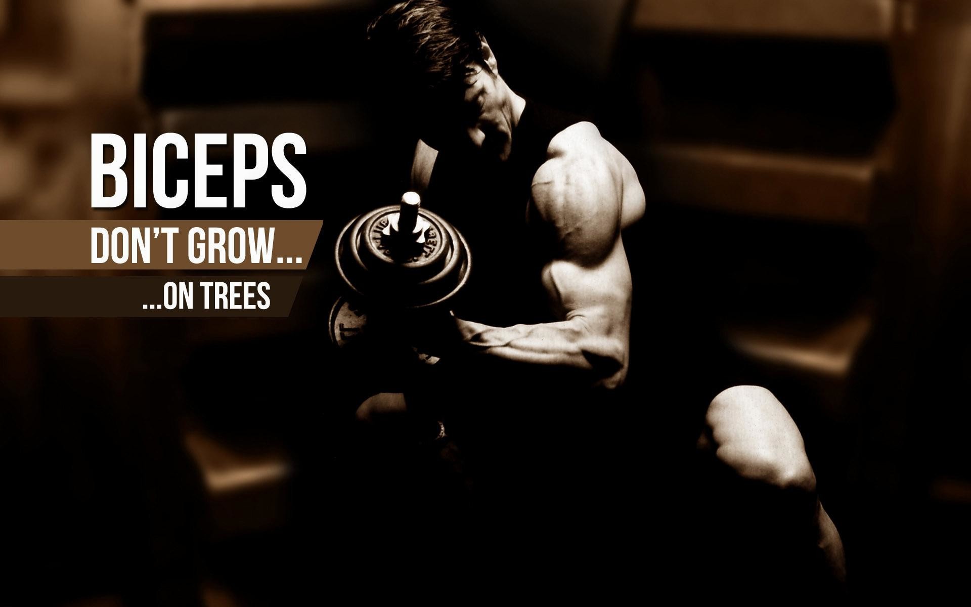 Weight Lifting Wallpaper HD