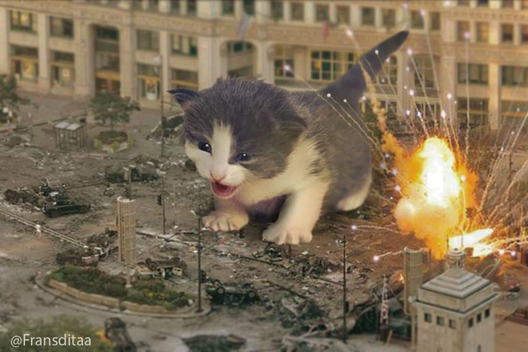 Catzilla Wanted To Conquer The World