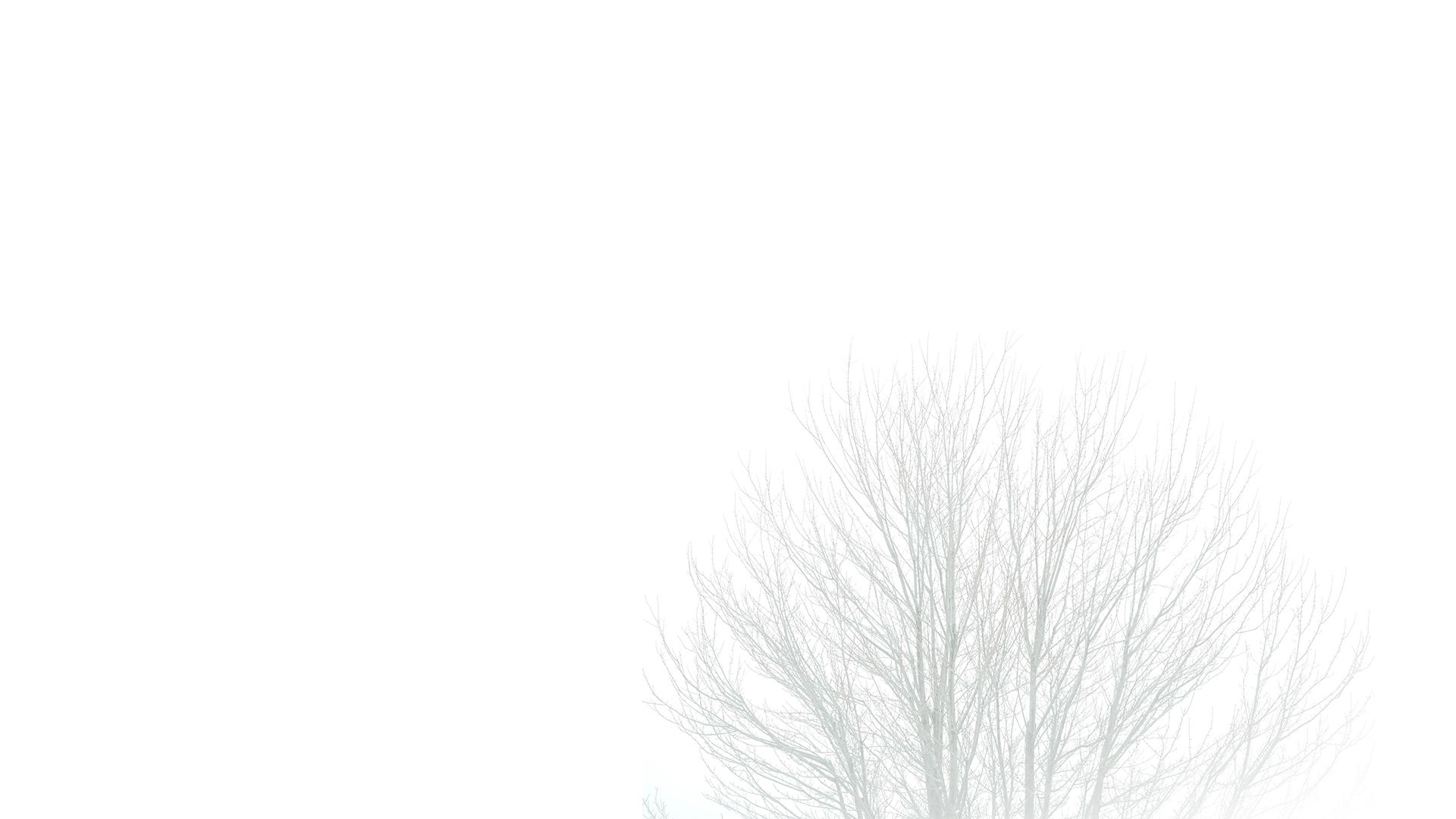 Whiteout Retina HD 1920x1080x401ppi Black And White Wallpaper