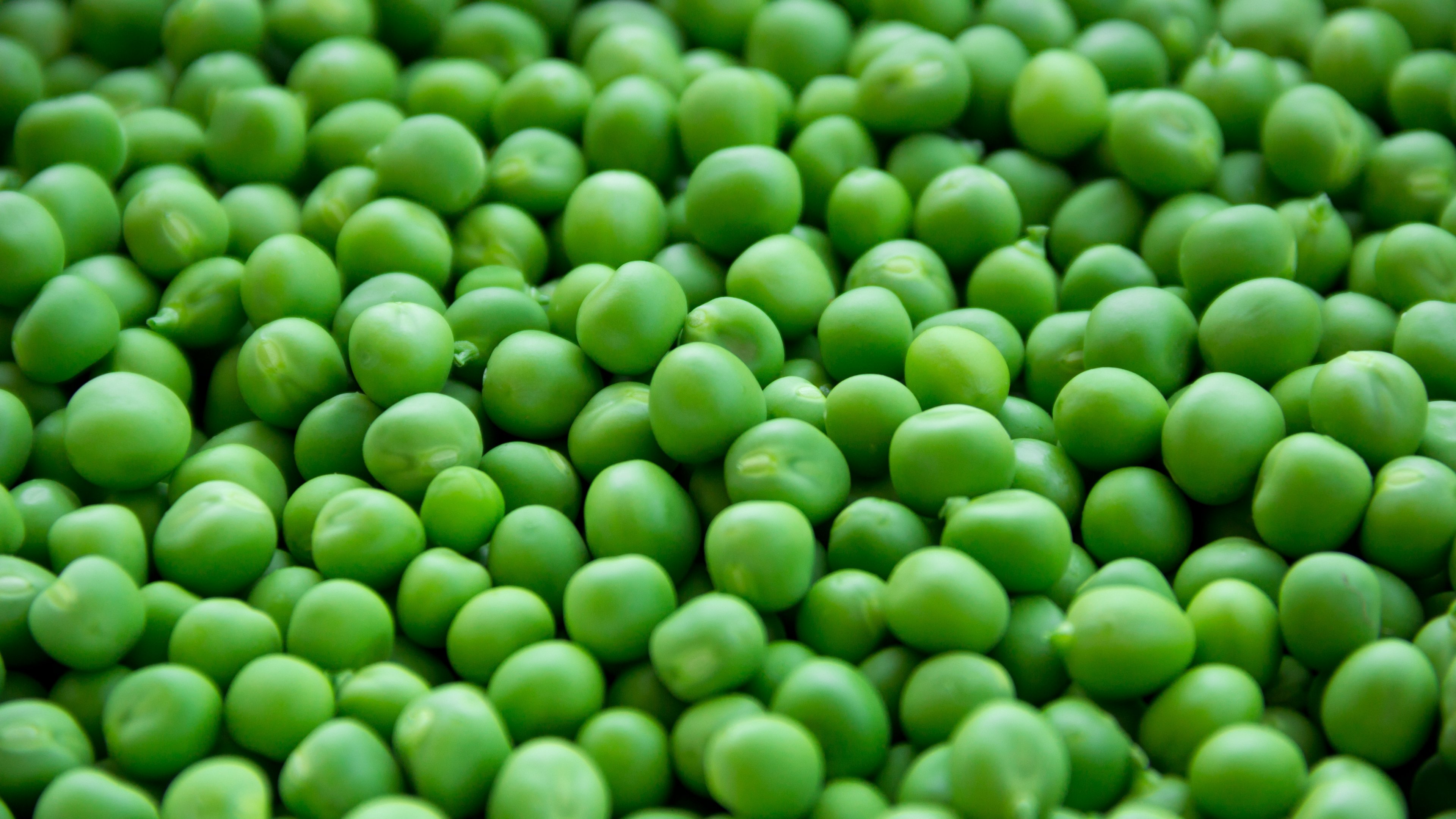 Fresh Peas Wallpaper iPhone Android Desktop Background