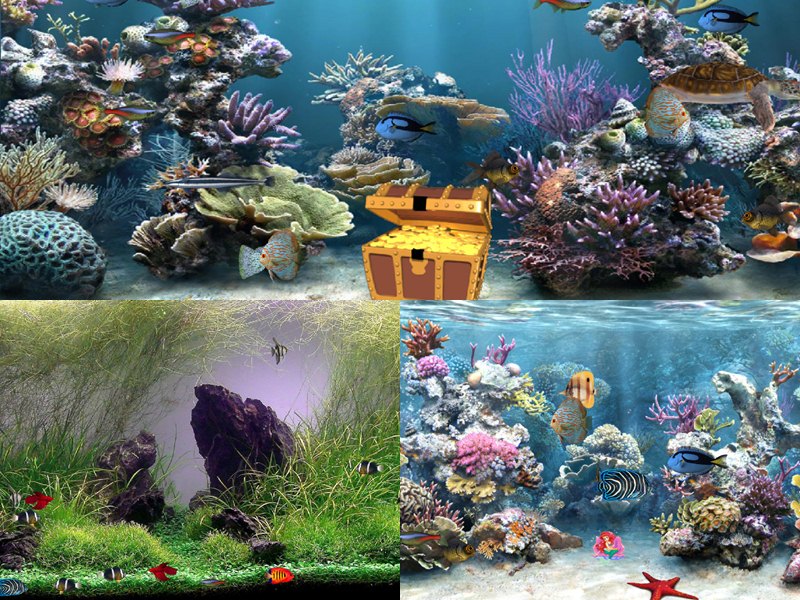 aquarium screensaver for windows xp