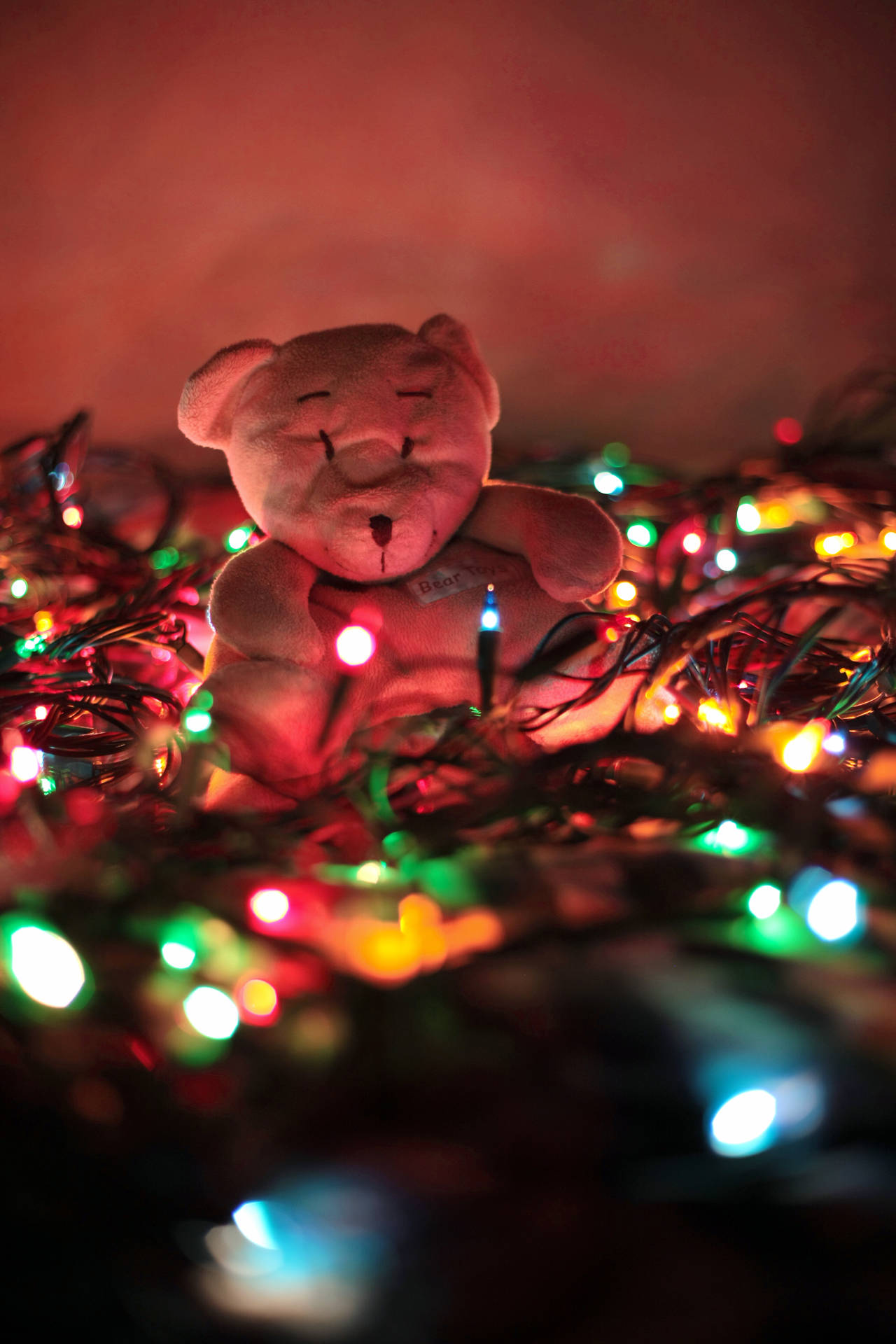 Cute Teddy Bear Wallpaper