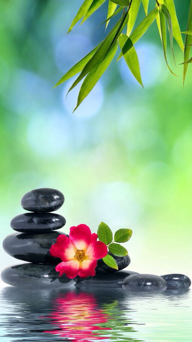 Zen iPhone Wallpaper Background Background Pi