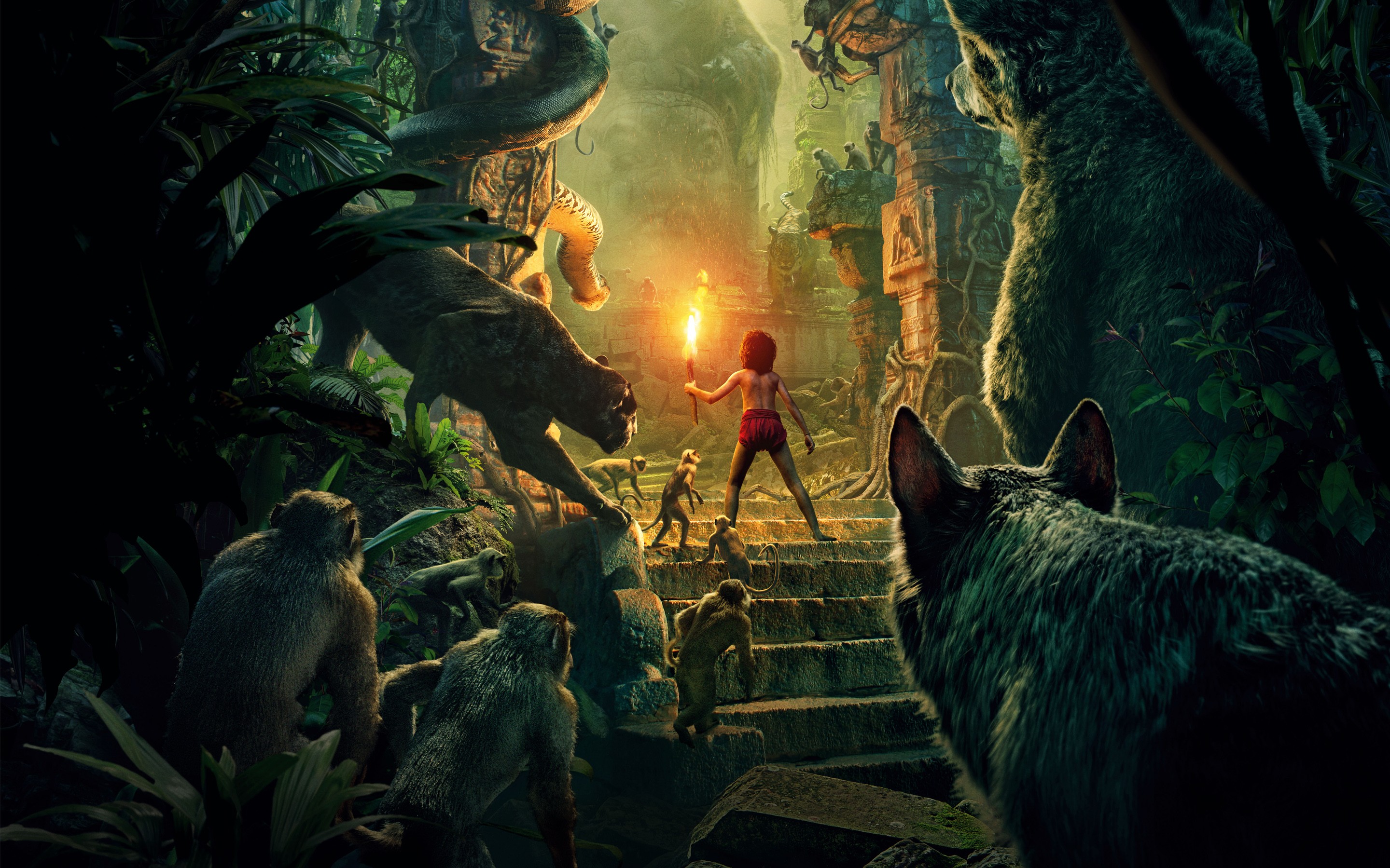 The Jungle Book 2016 Wallpapers and Background Images   stmednet