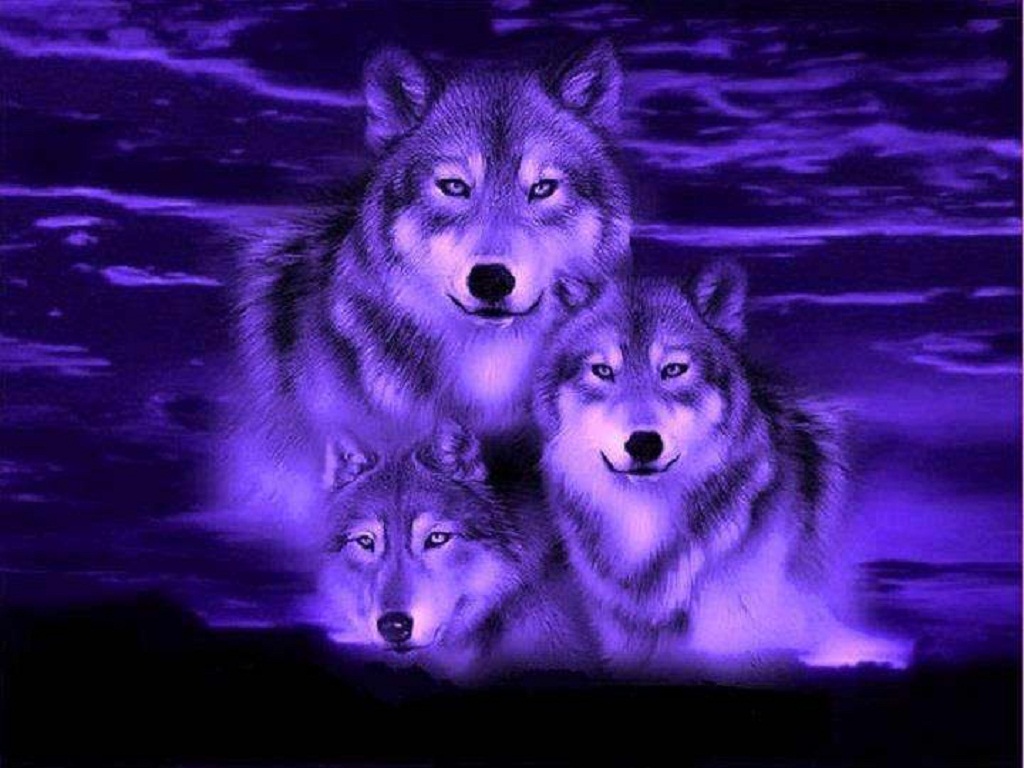 Dog Red fox Pack, BLUE WOLF, mammal, animals png | PNGEgg