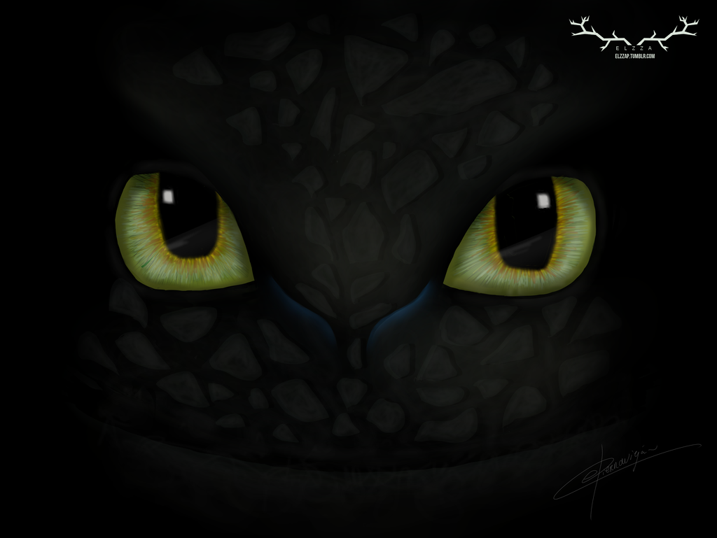 Toothless By Elzza
