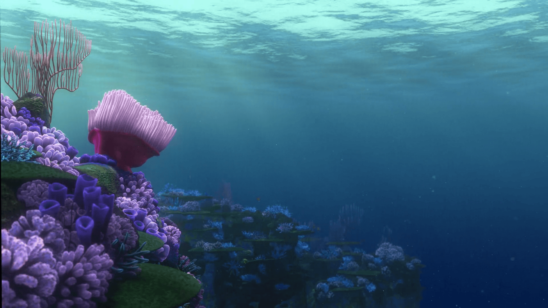Nemo Wallpaper On