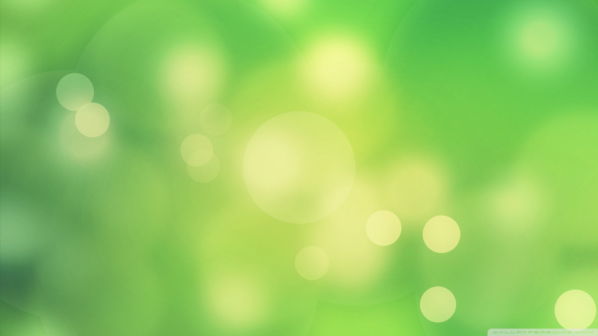 Green Background Wallpaper