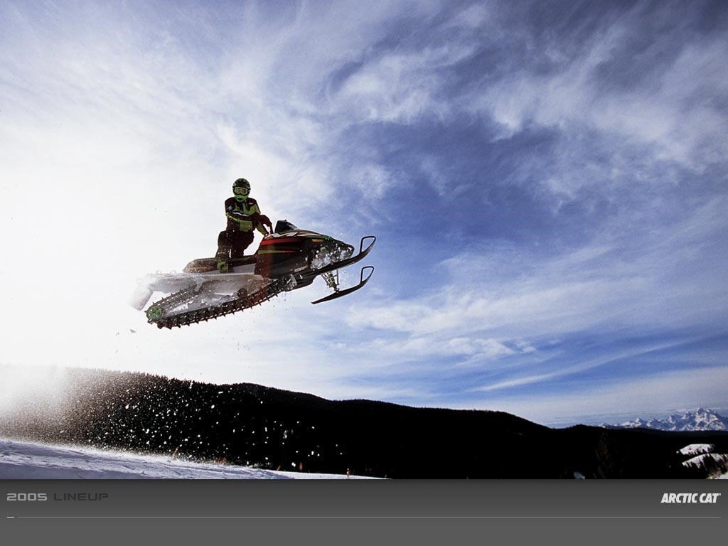 My Top Collection Arctic Cat Wallpaper