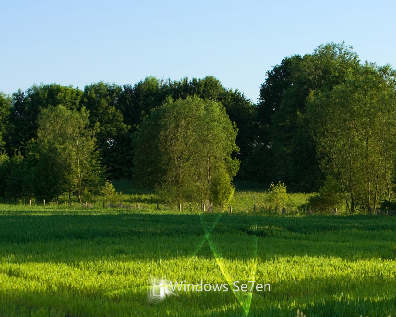 Windows Forest Desktop Pc And Mac Wallpaper