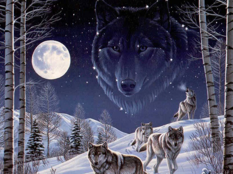 Animal Art Wolves Animals Other HD Desktop Wallpaper