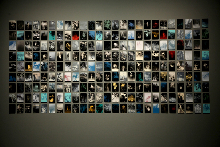  mixed media on paper installation views John Curtin Gallery 2012