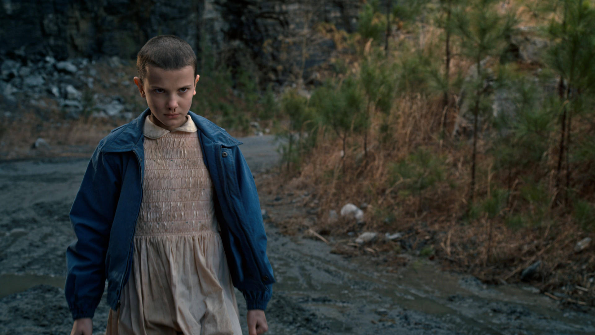 Stranger Things 4k Wallpaper