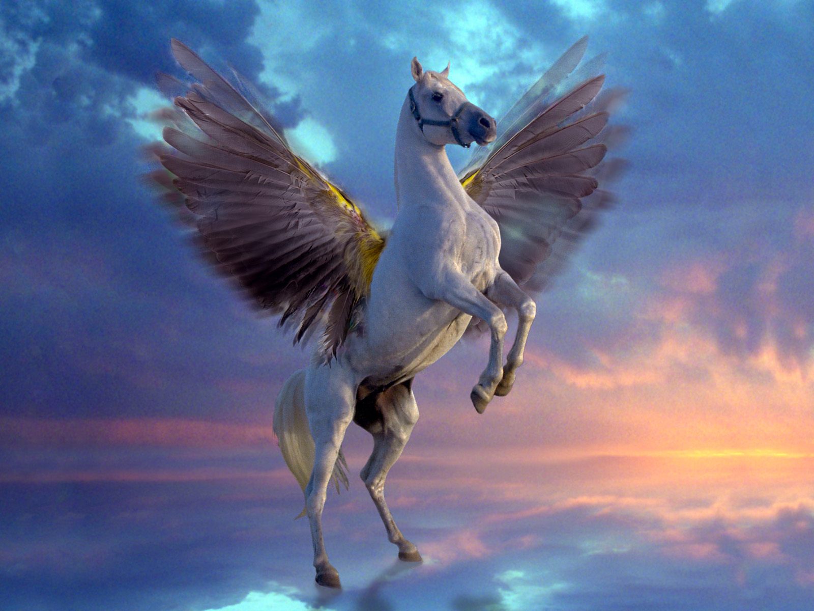 Mystical Pegasus Fantasy Creatures Wallpaper Image