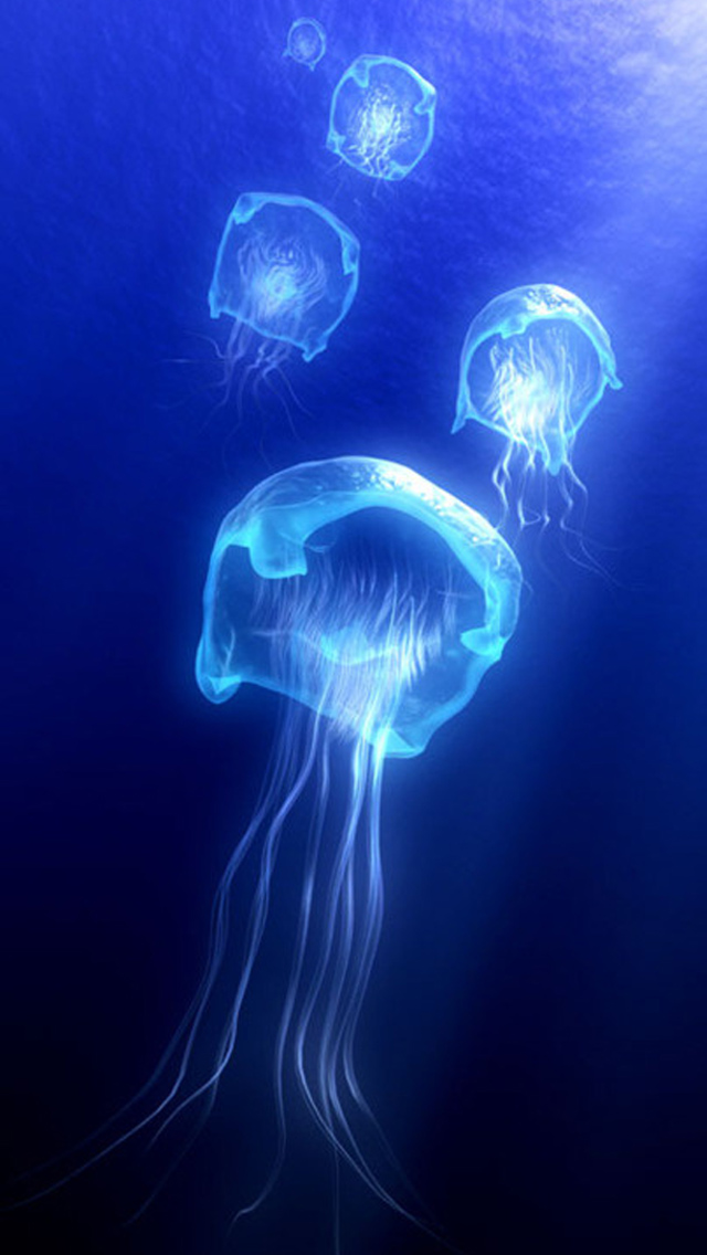 Jellyfish iPhone 5s Wallpaper iPad