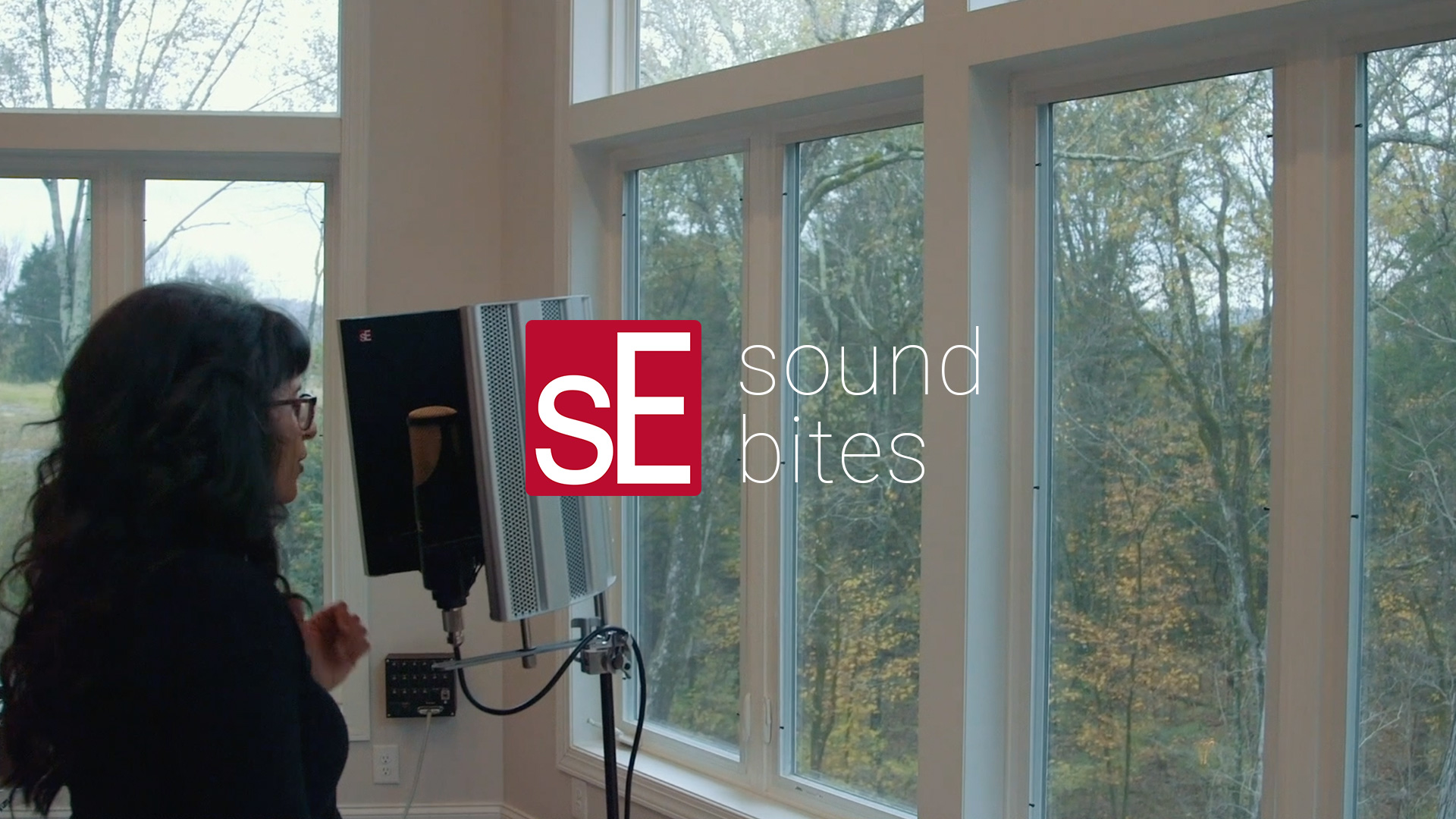 Se Electronics Soundbites Rnt Female Vocals