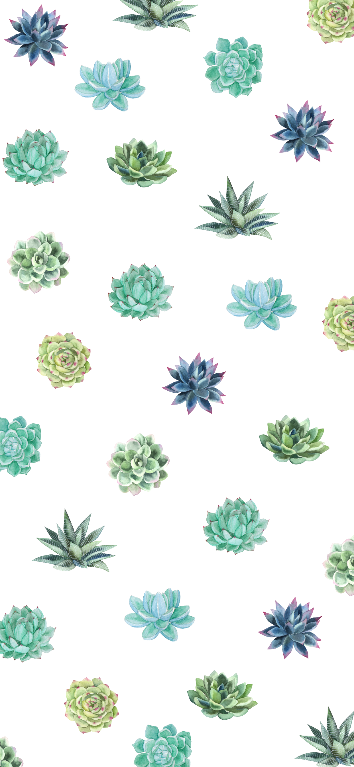 Summer Succulent iPhone Wallpaper Phone
