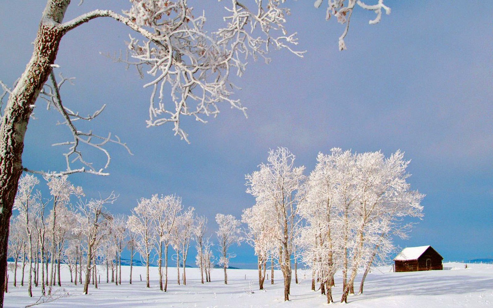 Beautiful Winter Scenery Desktop Background