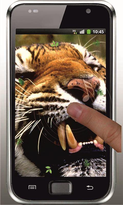 Tiger HD Live Wallpaper Google Play De Android Uygulamalar