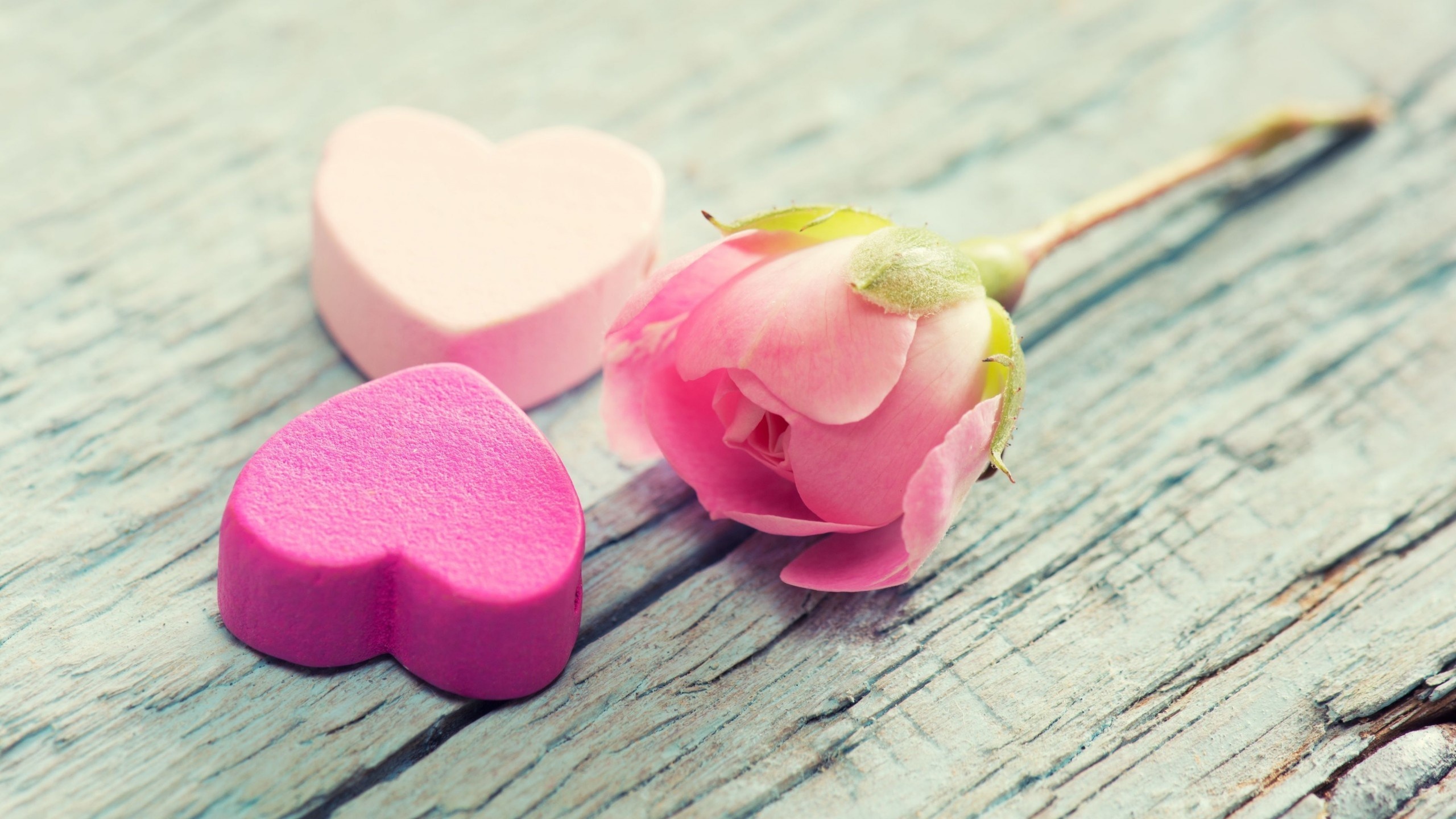 Pink Heart And Rose Flower Wallpaper
