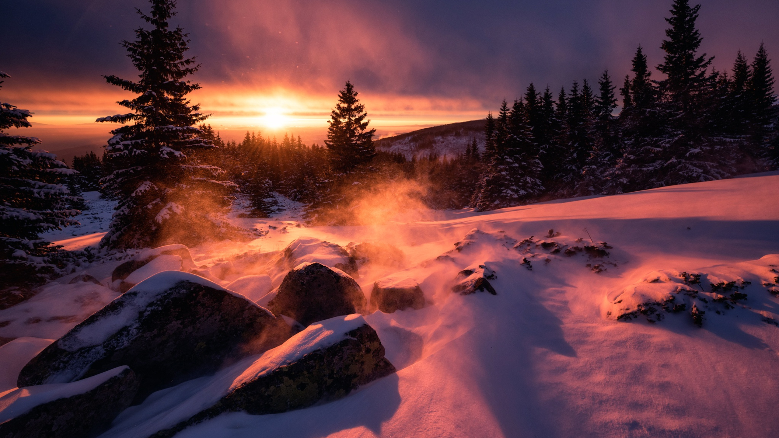 Winter Snow Sunset 1440p Resolution HD 4k Wallpaper Image Photos And