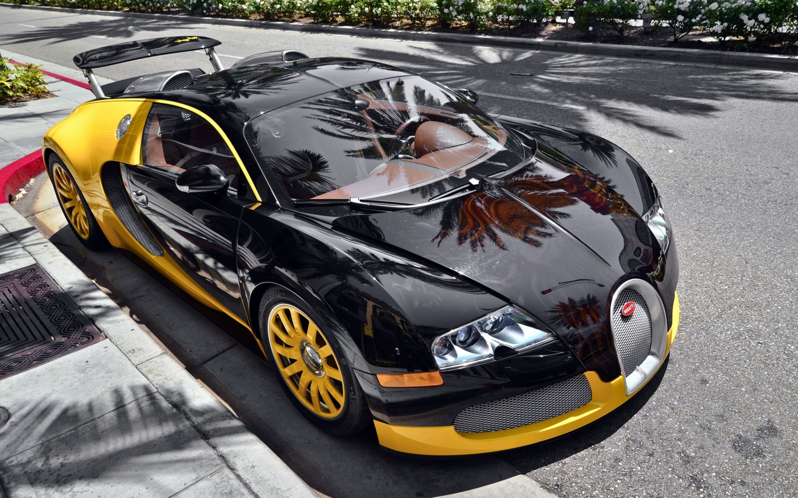 Bugatti Veyron HD Wallpaper Background Image