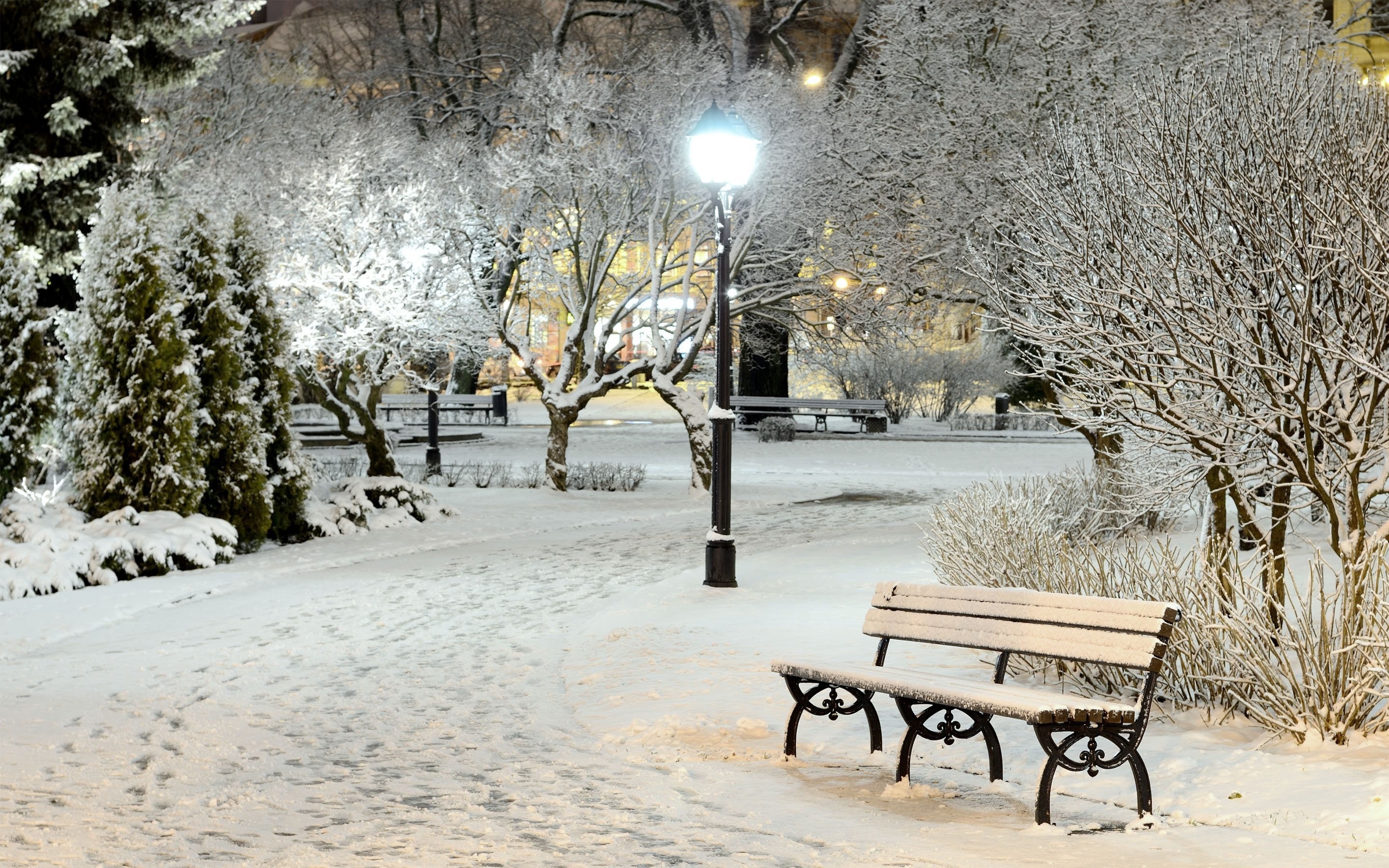 Winter Scene Desktop Background Wallpaper