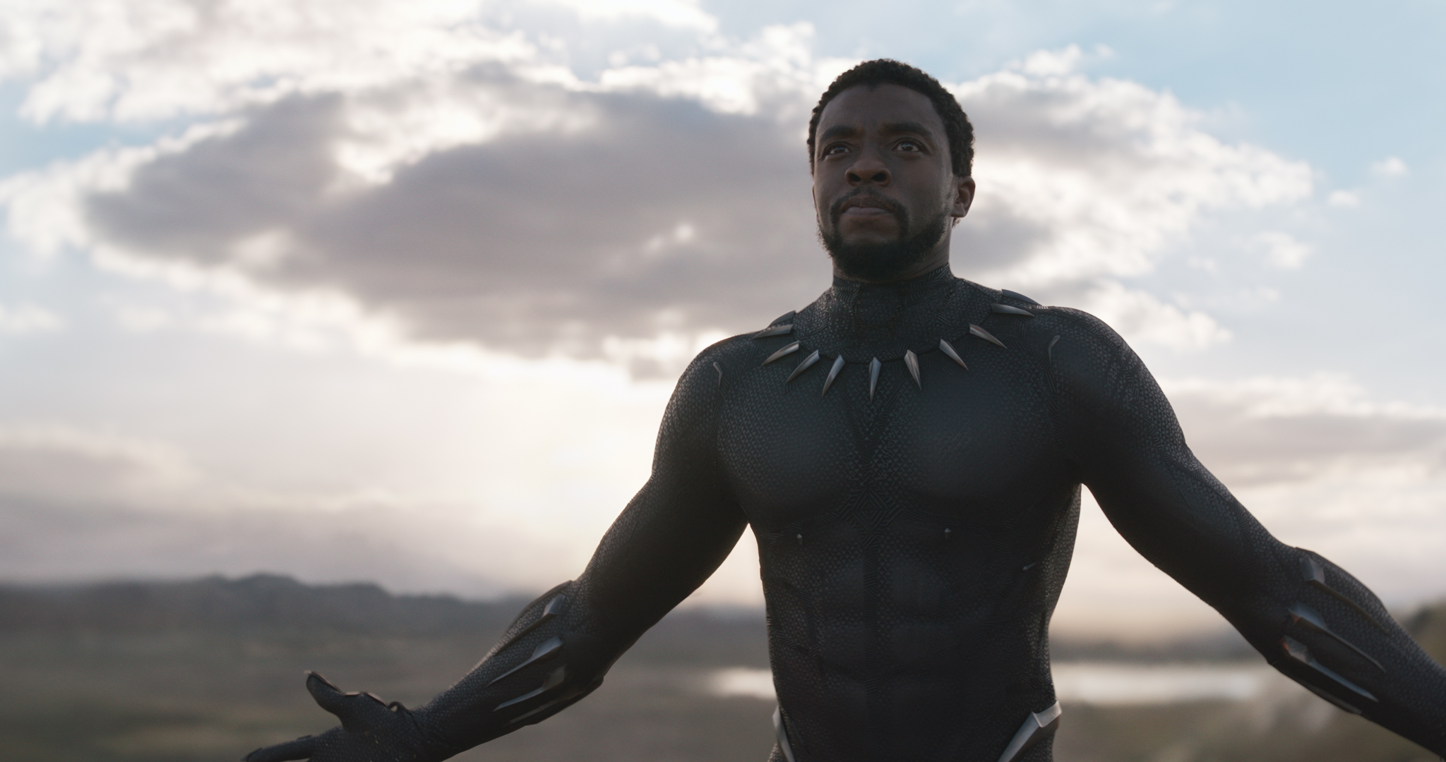 Black Panther Full HD Wallpaper and Background 2048x1080