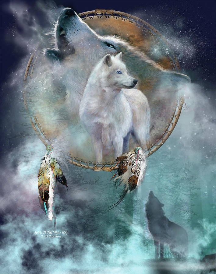 Dream Catcher   Spirit Of The White Wolf by Carol Cavalaris