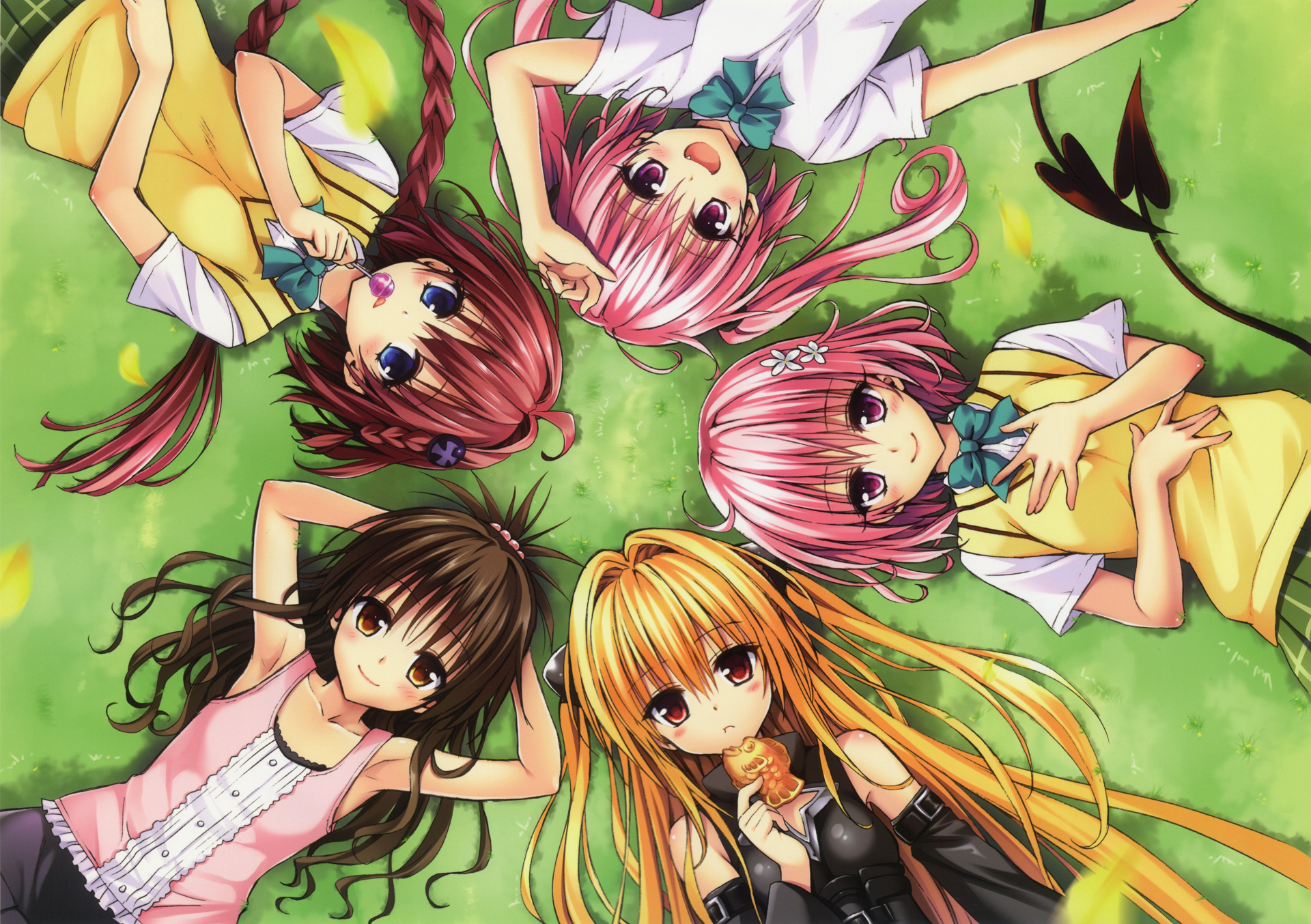 To Love Ru Group Full HD Wallpaper And Background