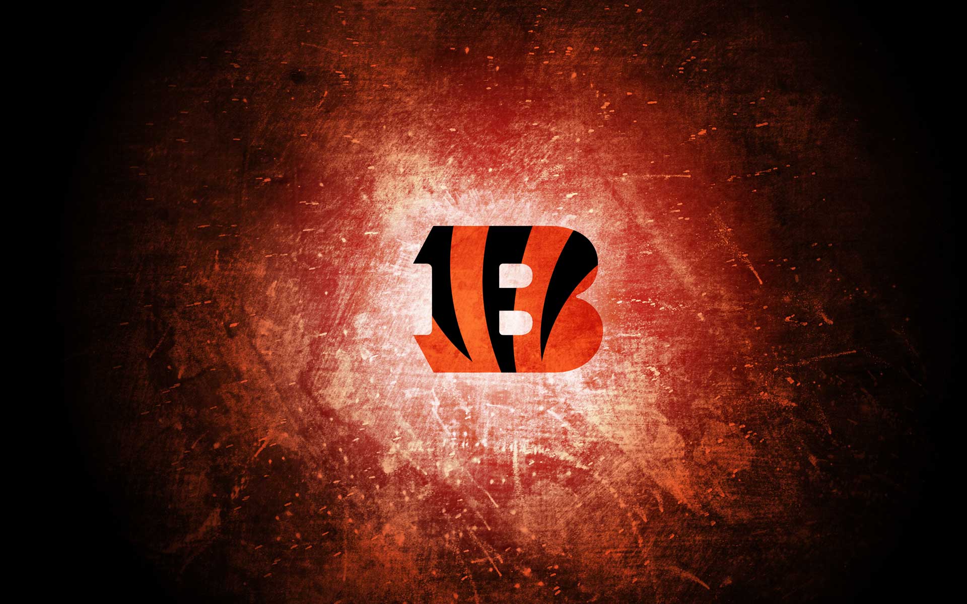 Cincinnati Bengals Sports HD Wallpaper