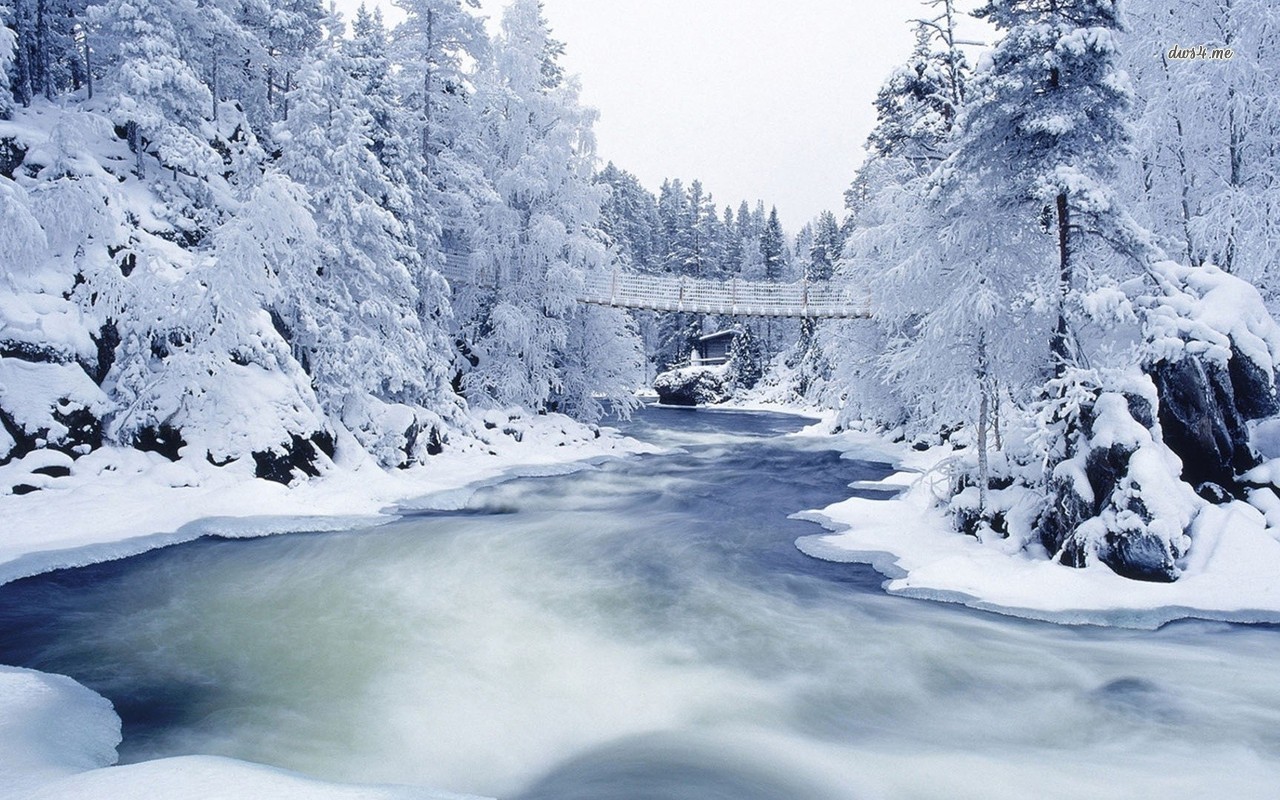 Snowy Forest River Nature Wallpaper
