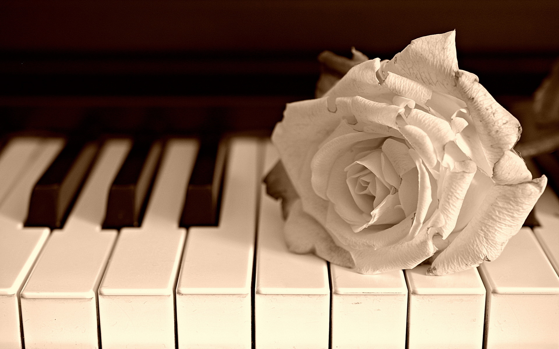 Piano Wallpaper High Definition Quality