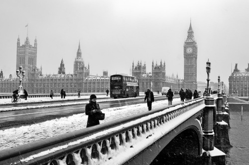 Black And White Britain Chic England London Town