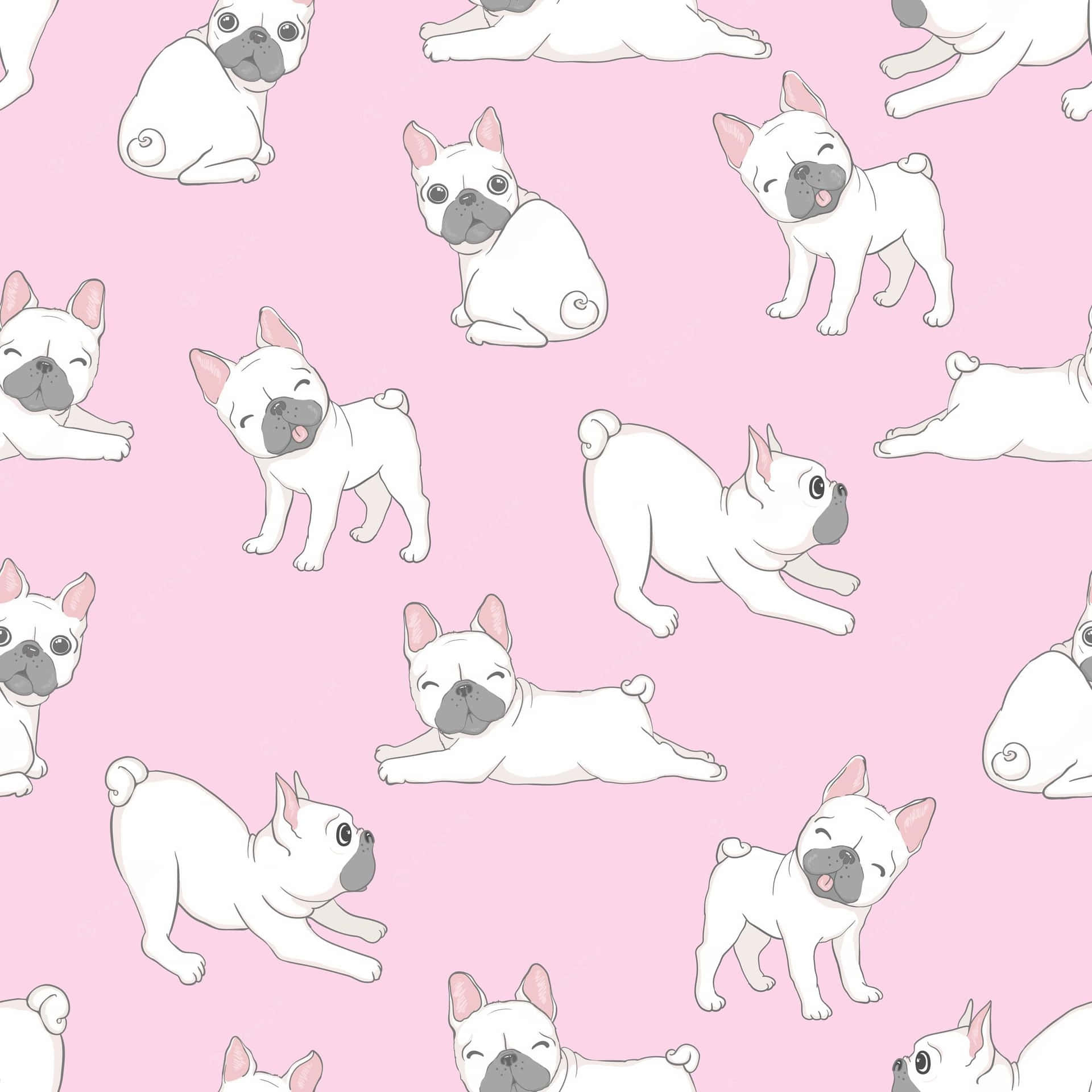 An Adorable French Bulldog Wallpaper