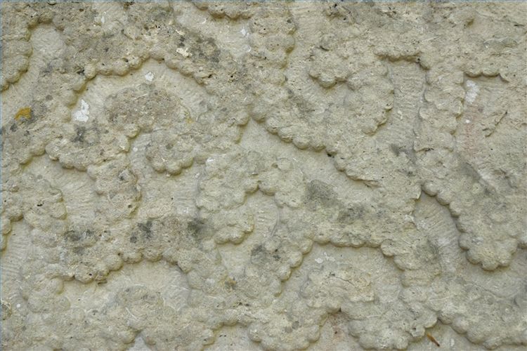 Free download how to texture walls Textured Wallpaper How to Texture