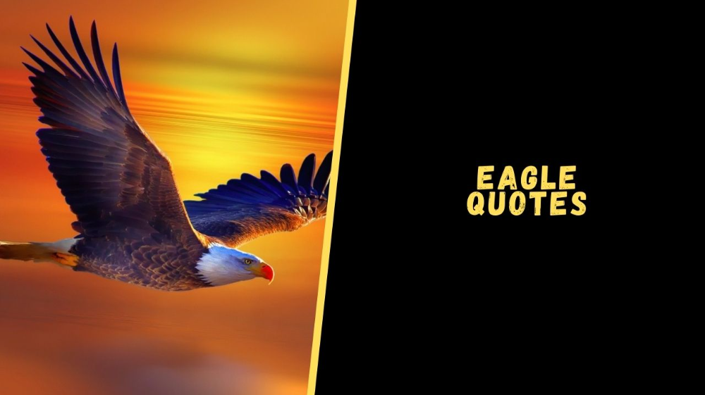 Top Fascinating Quotes About Eagle To Change Your Mindset