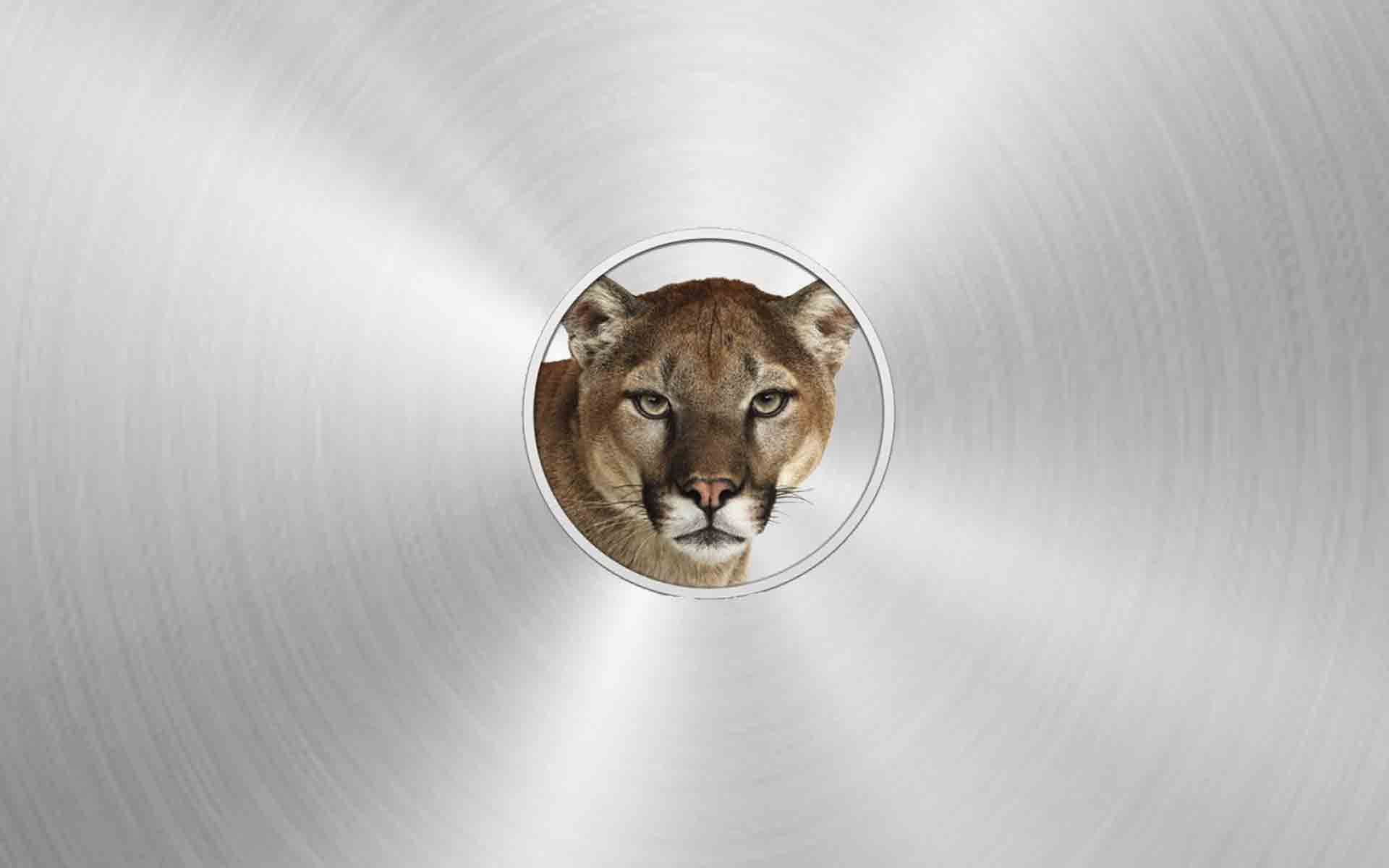 Desktop Mountain Lion Wallpaper Mac Dowload 3d HD Picture Design